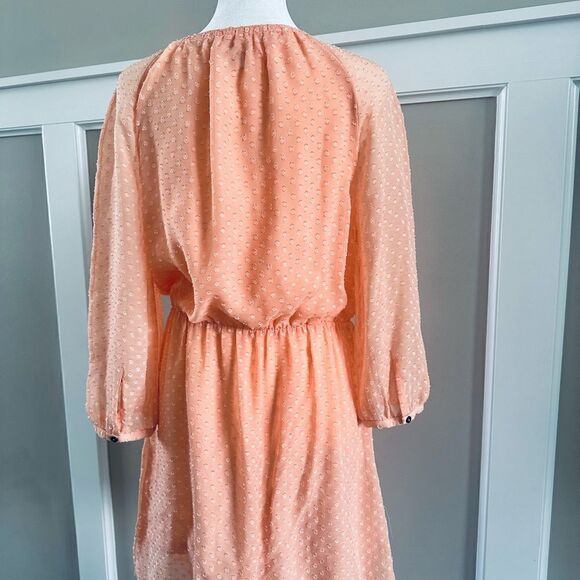 J. Crew peach colored, swiss dot dress with sheer sleeves. - Picture 6 of 6